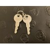 Fits EZGO EZGO Golf Cart Keys (Set Of 2)