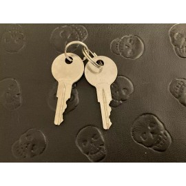 Fits EZGO EZGO Golf Cart Keys (Set Of 2)