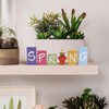 pechpell Spring Signs For Home Decor, 6 Pieces Wooden Spring