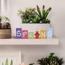 pechpell Spring Signs For Home Decor, 6 Pieces Wooden Spring Letter Blocks, Indoor Table Shelf Mantel Tiered Tray Decoration