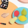 4 Pcs Makeup Sponges,Latex Free Makeup Blender Sponge Dry &