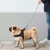 Didog No Pull Dog Harness with Breathable Mesh Padded, Full