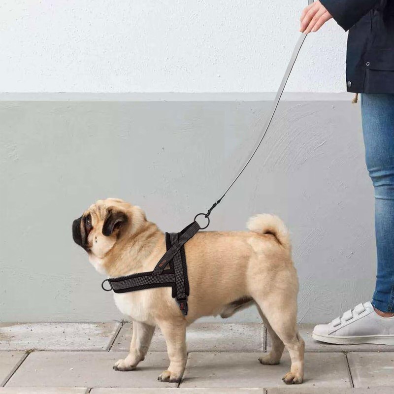 Didog No Pull Dog Harness with Breathable Mesh Padded, Full
