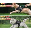 DEWVIE Service Dog Vest Harness, Adjustable Dog Harness and Dog