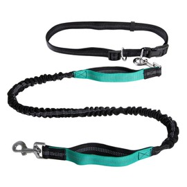 Hands Free Dog Lead for Dog Walking Running Jogging, Retractable, Dual Handle, Shock Absorber, Soft Foam Padding, Adjustable Wasit Leash