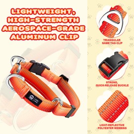 ARBLINA Martingale Dog Collar Light-Reflective Polyester Collars for Dogs Whippets, Greyhounds, Saluki, American Bully, No-Pull No-Escape Safety Training Heavy Duty Adjustable Collars -M Orange