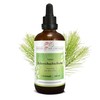 Horsetail Tincture 100 ml | Equisetum Arvense Drops (1:4 Extract)