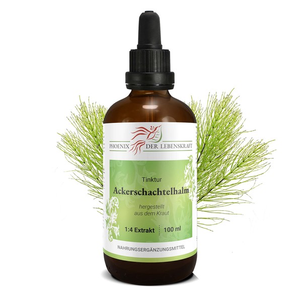 Horsetail Tincture 100 ml | Equisetum Arvense Drops (1:4 Extract)