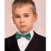 HISDERN Bow Ties for Boys Pre Tied Toddler Bow Tie