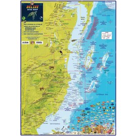 Belize Dive Map Waterproof Map