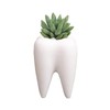 YOUYA DENTAL Succulent Plant Pots, Cute Tooth Shape White Ceramic