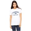 Germantown Maryland T-Shirt EST 3X Grey
