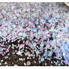 Iridescent Eco Glitter - Pearlescent Eco Friendly Face and Body