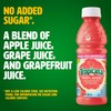 Tropicana Ruby Red Grapefruit Juice, 10 Ounce (Pack of 24)