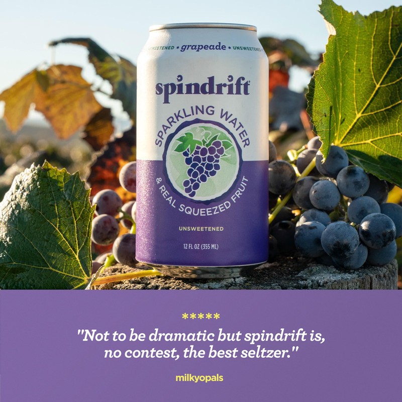 Spindrift Grapeade Can 12 Ounce (Pack of 24)