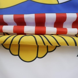 AZ FLAG United States Virgin II Flag 150 x 90 cm with 4 Eyelets American Flag for Balcony or Wall