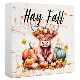 Funny Autumn Wood Box Sign Hay Fall Highland Cow Wooden Block Desk Decor for Home Office Kitchen Cubicle Table Shelf Tabletop,Farmhouse Fall Sign Decor
