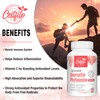Liposomal Quercetin Phytosome 1600mg Per Serving, with Bromelain & Vitamin