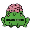 Brain Frog Enamel Pin - Funny Green Frog with Brain