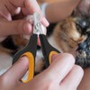 Cat Nail Clipper, Premium Dog Nail Clippers Trimmers Cat Claw