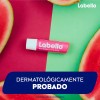 Bálsamo Labial Labello Protector Humectante Sandía 4.8g