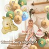 33Pcs Neutral Classic Winnie Baby Shower Birthday Balloons Large 12Inches