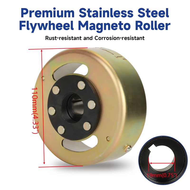 SHIQINHA 2 Coil Ignition Magneto Stator for Taotao Coolster 125cc