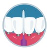 GO2 Dentagenie Dental Brush SUPER TIGHT (Green) 12pk