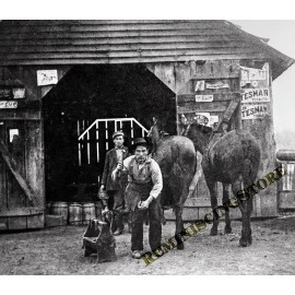 Walker Lee Harvill Shoeing a Horse Hickman County TN 1907 Reprint from Scan 8X11