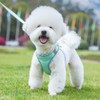 DoggieKit Dog Harness for Small Medium Dogs No Pull Adjustable