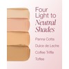Mineral Fusion Makeup Cream Concealer Eye Palette Quad - 4