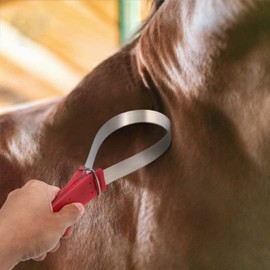 Horse Shedder Scraper Stainless Steel Horse Sweat Scraper Horse Grooming Brushes Combs Single Metal Shedding Blade