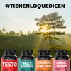 TESTO | HOMBRES | Precursor con 10 ingredientes | Maca