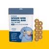 PETHROOM [Fesroom] Spider Web Dental Bar All-in-One Chew Toy for