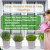 Indoor Herb Garden Kit, 9 Non-GMO Seeds with Reusable Pots,