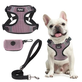PUPTECK No Pull Dog Harness and Leash Set Reflective No Choke Step in Puppy Halter for XS Small and Medium Sized Dogs, LightPink, Breathable Mesh, L