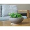 MUZHI Round Unglazed Ceramic Bonsai Pot with Bamboo Tray, Large
