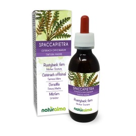 Rustyback Fern (Ceterach officinarum or Asplenium Ceterach) Leaves Alcohol-Free Mother Tincture Naturalma | Liquid Extract Drops 120 ml | Food Supplement | Vegan