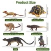 TOYMANY Pack of 12 Madagascar Animals Figures, Realistic Forest Animals