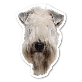Magnet America Soft Coated Wheaten Terrier Dog Magnet is 5.75" x 3.875" Made for Vehicles and Refrigerators