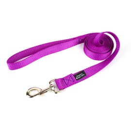 Country Brook Petz 1" Wide Heavy-Duty Nylon Leash for Dogs - Traditional Style Durable Leash with Easy-to-Use Snap - Made in The USA, Bright Purple, 6 Foot