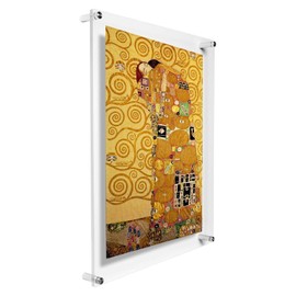 B&NN Double Panel Floating Clear Acrylic Wall Mount Sign Frame Certificate Frame Wall Photo or Document Frame (8x10)