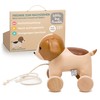 Little Big Friends Pull Animals | Pull Toy for Babies