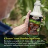 Medina Garrett Juice Plus -Liquid Plant Food & Fertilizer for