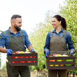 ELONG HOME 3 Pack Nesting Wooden Crates, Rustic Wood Basket with Handles, Decorative Farmhouse Wooden Storage Boxes