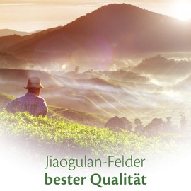 Jiaogulan Kraut der Unsterblichkeit (150g) • Ohne Stängel • handverlesenes Unsterblichkeits-Kraut getrocknet in höchster Qualität