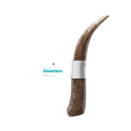 Pet Parents Gnawtlers - Premium Naturally Shed Elk Antlers for Dogs, All Natural Dog Chew, Specially Selected from The Heartland Regions (Large)