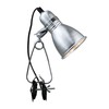 Photo Clamp Table Lamp