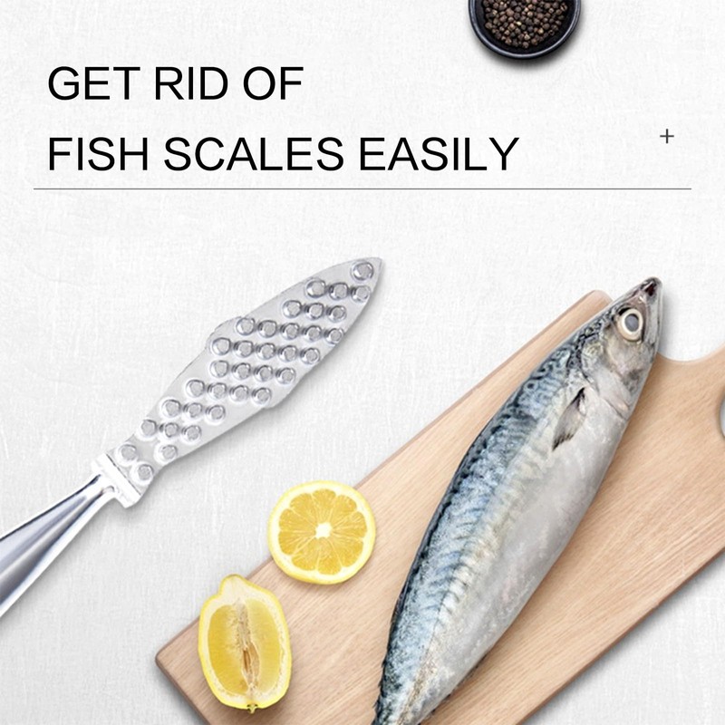 Fish Scaler, Aluminium, 22 cm, Silver