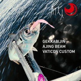 DAIWA Lure, Tsukiyobijin, Aging Beam, Bachicon Custom 3, Shell Pink